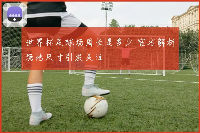 世界杯足球场周长是多少 官方解析场地尺寸引发关注