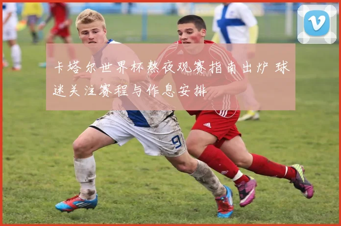 卡塔尔世界杯熬夜观赛指南出炉 球迷关注赛程与作息安排